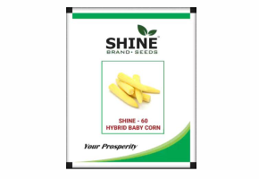 Baby Corn-Shine 60 (500 gm)